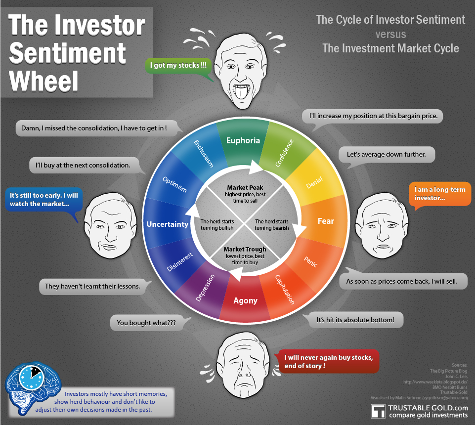 The Investor Sentiment Wheel Infographic